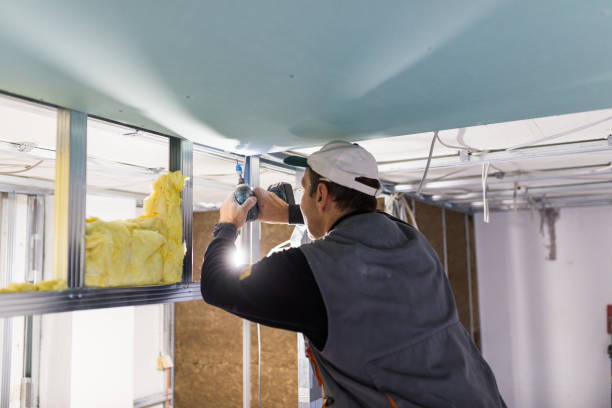Best Spray Foam Insulation in Mountain House, CA