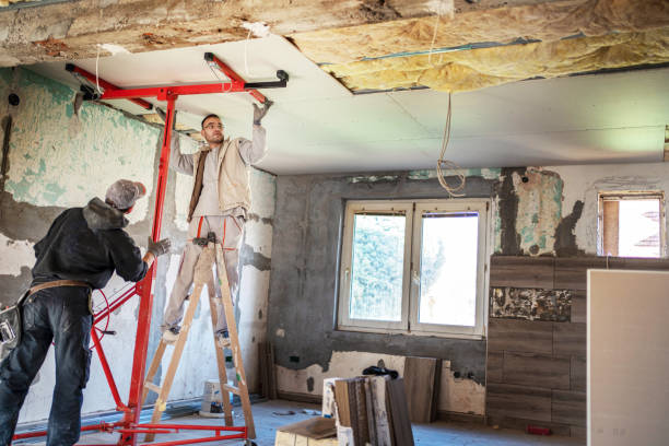 Best Eco-Friendly Insulation in Mountain House, CA